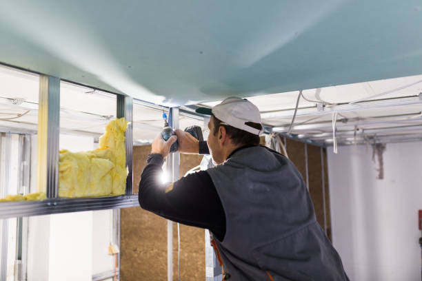 Best Wall Insulation Installation  in Cedar Grove, FL