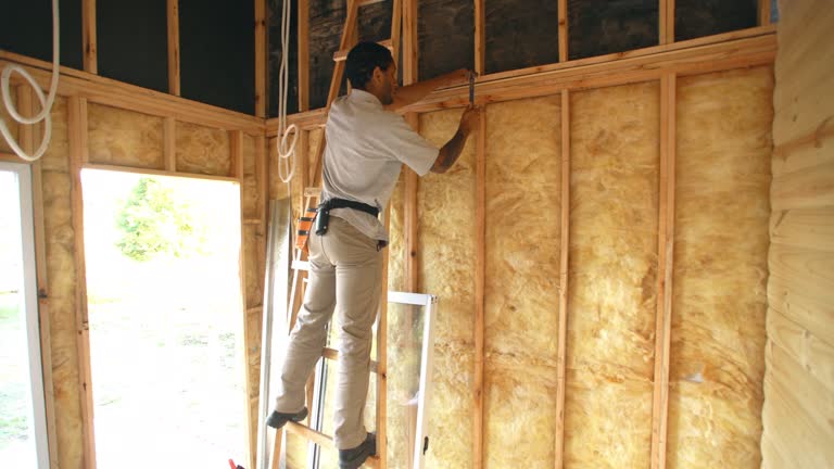 Best Basement Insulation  in Cedar Grove, FL